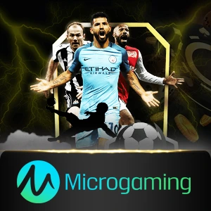 microgaming - summer138