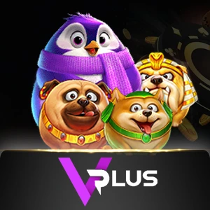 vplus - summer138
